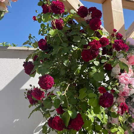 Boris House 5 Bed & Private Pool Вилла Strumyani