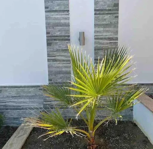 Boris House 5 Bed & Private Pool Villa