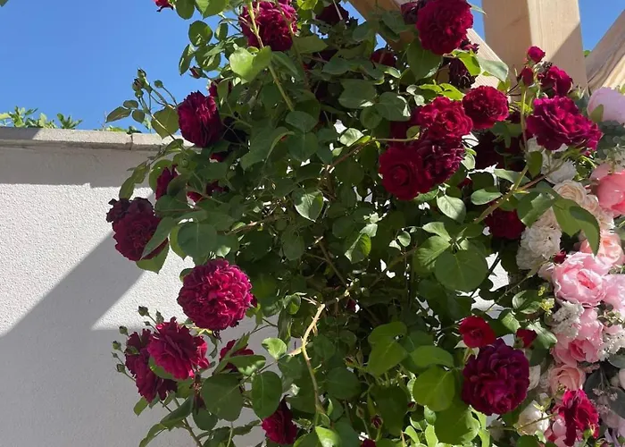 Boris House 5 Bed & Private Pool Villa Strumyani