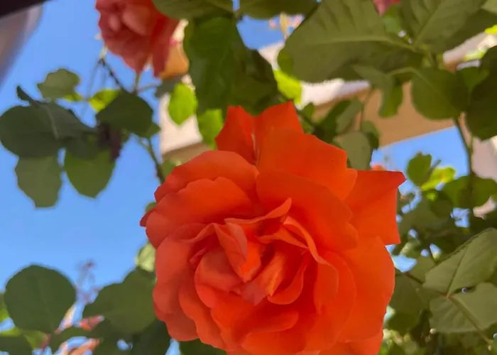 Villa Boris House 5 Bed & Private Pool Strumyani